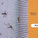 tinklelis rėmelis akcija nuo 26 eur balta spalva