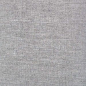 silver melagne 6 tikras tikra spalva